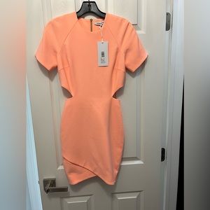 Brand new with tags Elizabeth and James skylyn dress color npea size 2